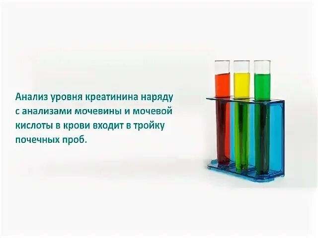 За что отвечает креатинин в биохимическом анализе