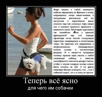 Демотиватор загадка - 28 шт