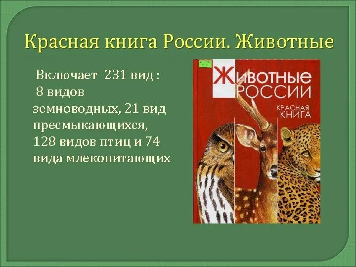 Красная книга презентация. Рассказ о животных из красной книги. Животные красной книги росси. Книги о животных. Красная книга и их животные.