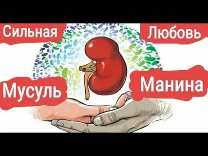 Как отдать почку