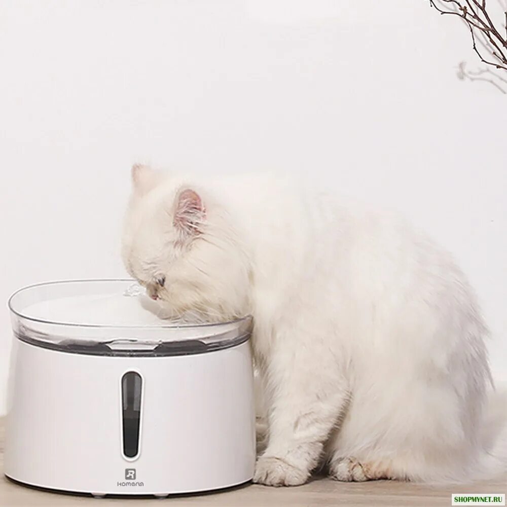 Умная автопоилка для животных Xiaomi Smart Pet Fountain. Автопоилка для кошек Xiaomi. Автоматическая поилка для кошек Xiaomi. Поилка фонтан для кошек Xiaomi. Xiaomi pet fountain