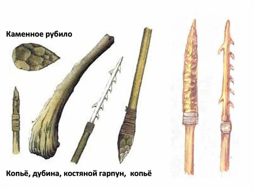 Какие орудия труда использовали. Гарпун орудие труда первобытного человека. Орудия труда древнего человека гарпун. Гарпун оружие древних людей. Гарпун кроманьонцев.