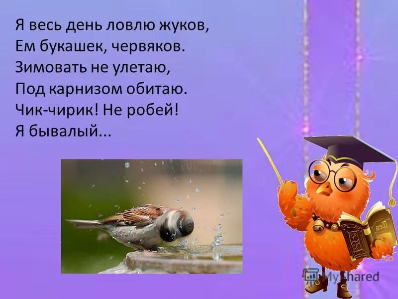 Мальчик наловил жуков всего 8 штук. Я весь день ловлю Жуков. Я весь день ловлю Жуков ем букашек. Вылезут букашки Чик чирик. Воробей Чик чирик.