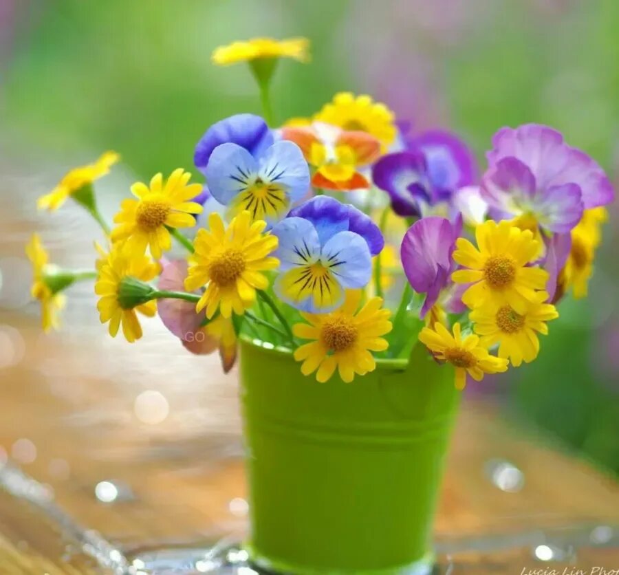 Замечательного настроения улыбок. Летние цветы. Добрые пожелания. Красивые пожелания на каждый день. Яркие летние цветы.