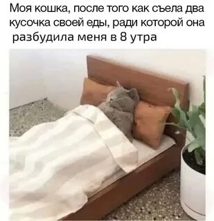 Любая попытка