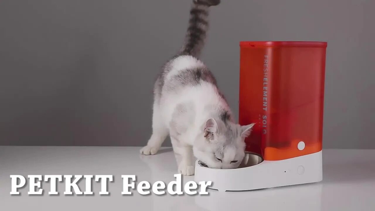 Petkit fresh element. Кормушка для кошек petkit. автоматическая кормушка для кошек и собак petkit solo. petkit fresh element mini. petkit fresh element 3.