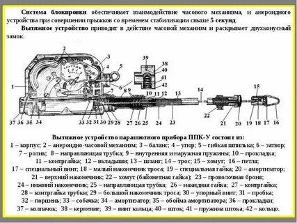 Привести на устройство