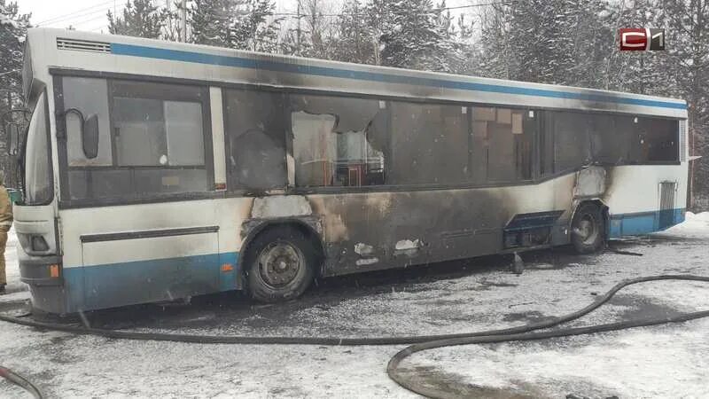 Реальное время автобусы сургут. Загорелся пассажирский автобус. Сургутский автобус. Автобусы Сургут. Новые автобусы в Сургуте.