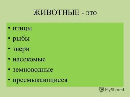 Какие бывают животные рыбы