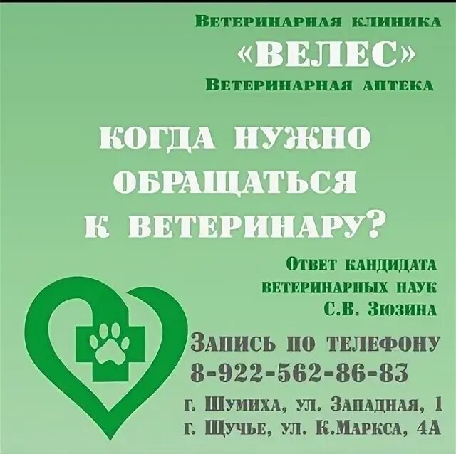 Ветклиника велес малоярославец. Ветклиника велес. Ветклиника велес малоярославец. Ветклиника велес. Ветклиника велес малоярославец.