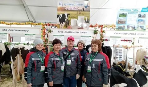 Дмитриевы горы меленковский