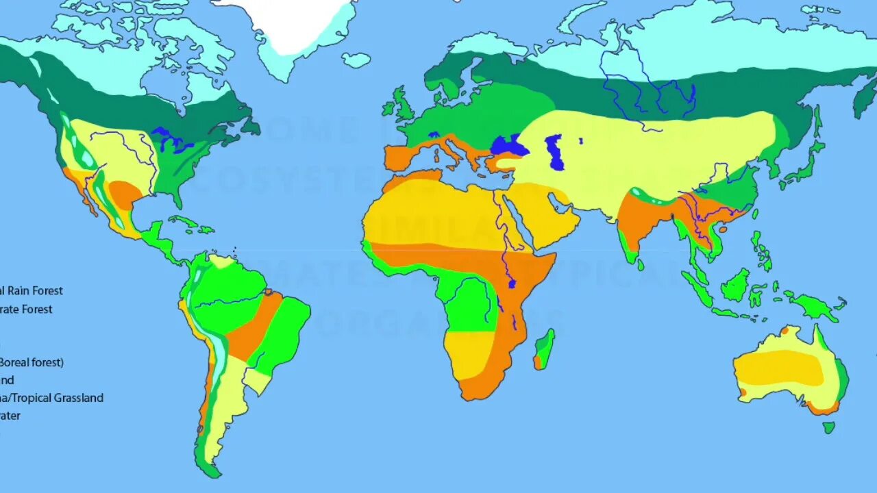Все зоны планеты. Биомы земли. Природные зоны земли. Карта основных биомов суши.