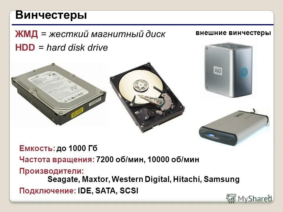 Винчестер в информатике