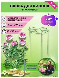 Когда нужно ставить подпорку для пионов