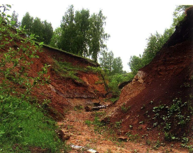 Низина проверочное. Овраг УШКАТЛЫ. Овраг Переторги. Низина оврага. Лог, овраг, ров.