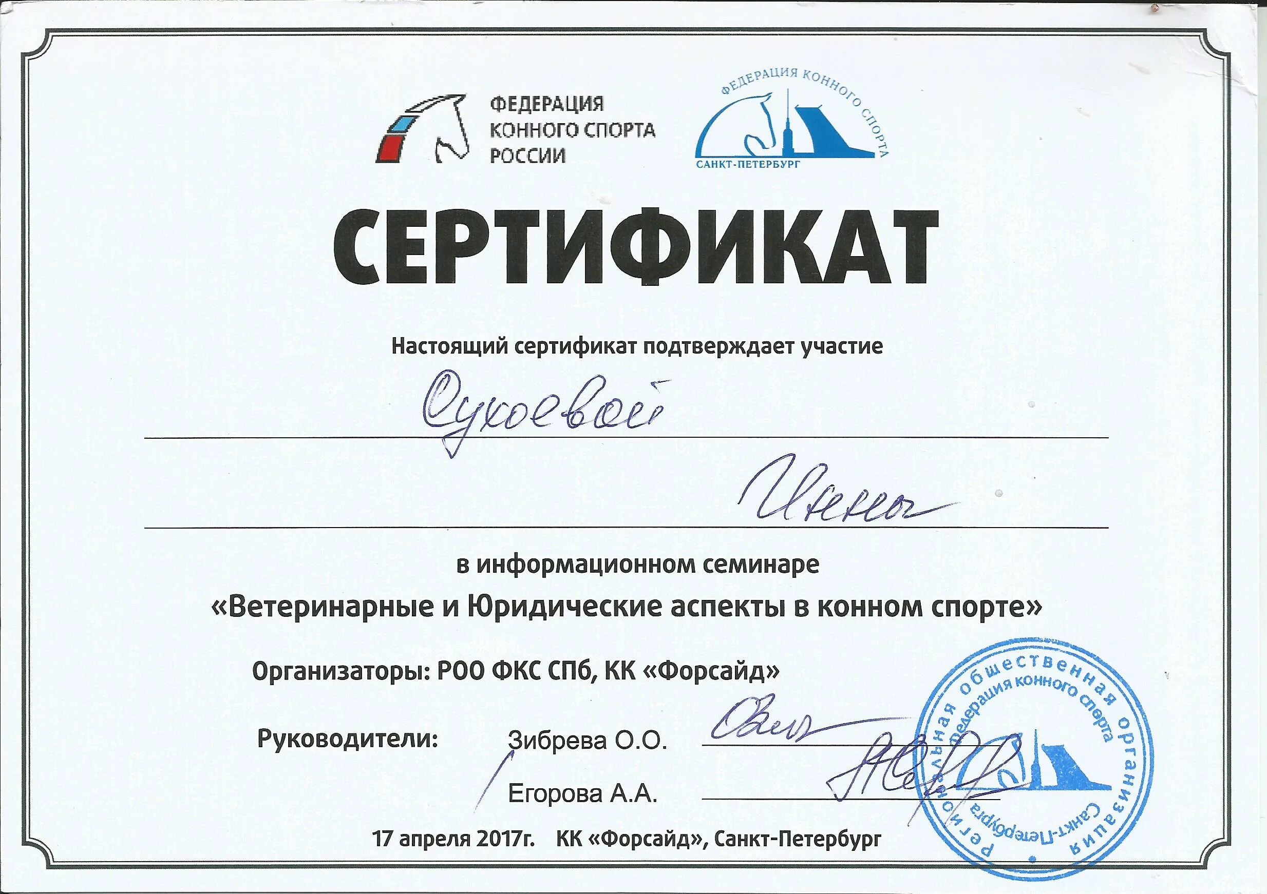 Федерация конного спорта сертификат. Сертификат спортивный. Сертификат с лошадью. Инструктор по спорту сертификат.