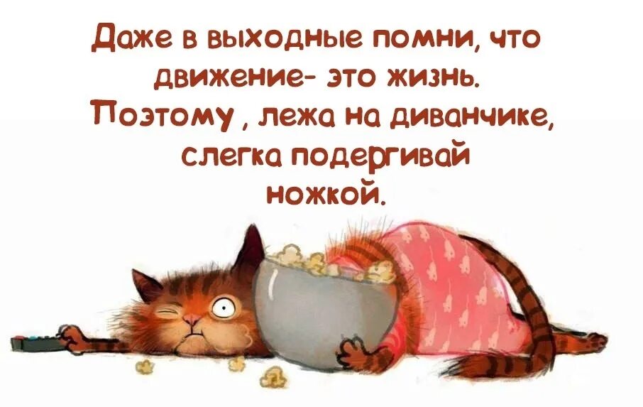 Афоризмы про выходные. Даже выходной. Даже выходной. К выходным готовы. Смешные высказывания про утро.