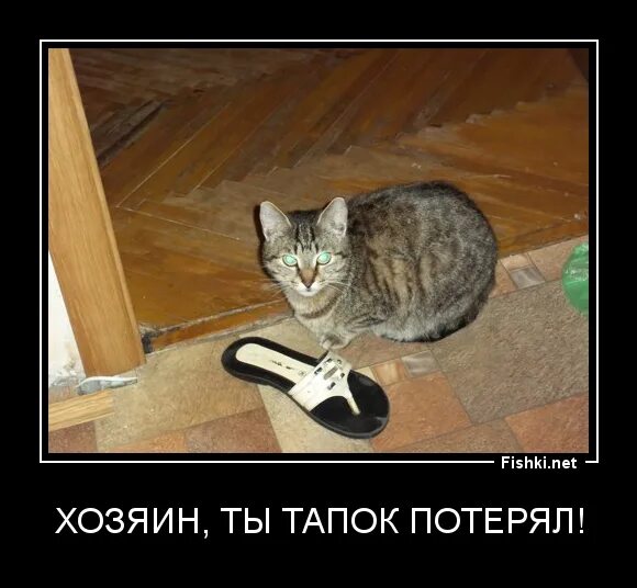 Потерять тапок ошибка. Тапочки потерял. потерянный тапок. лечу теряя тапки. мама я тапок потерял.