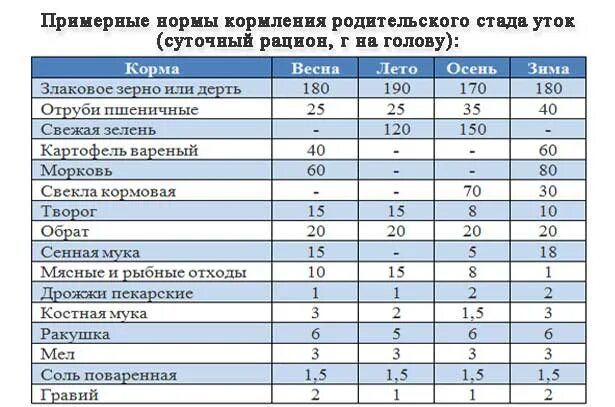 Что можно есть уткам. Нормыкормленияутятиндоуток. Рацион кормления мускусных уток. Норма комбикорма для индоуток. Рацион кормления утят с 1 дня.