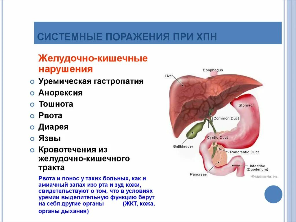 Почечная недостаточность презентация. Хроническая почечная недостаточность презентация. Почечная недостаточность патофизиология. Хроническая почечная недостаточность .ppt. Одной из причин почечной недостаточности является