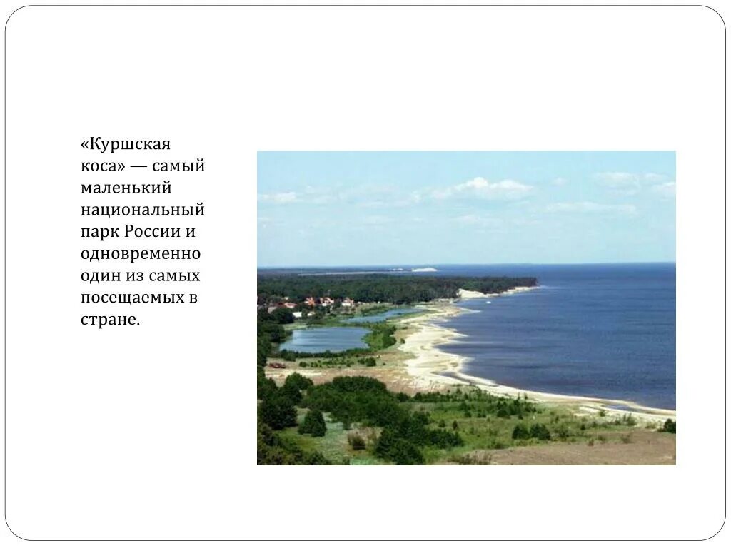 Куршская коса национальный парк. Балтийское море куршская коса. Куршская коса калининград. Балтийское море куршская коса. Поселок лесной куршская коса.