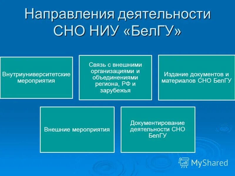 Направления деятельности студента