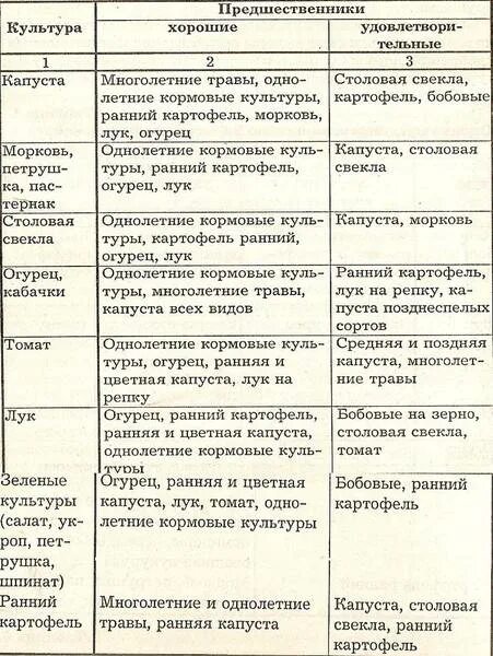 После картофеля что посадить на следующий год. Предшественники картофеля. лучшие предшественники для картофеля. севооборот картофеля таблица. предшественники картофеля в севообороте.