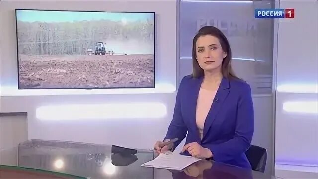 Вести 13.08