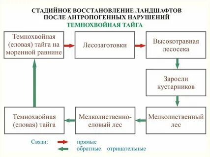 Связи в ландшафте