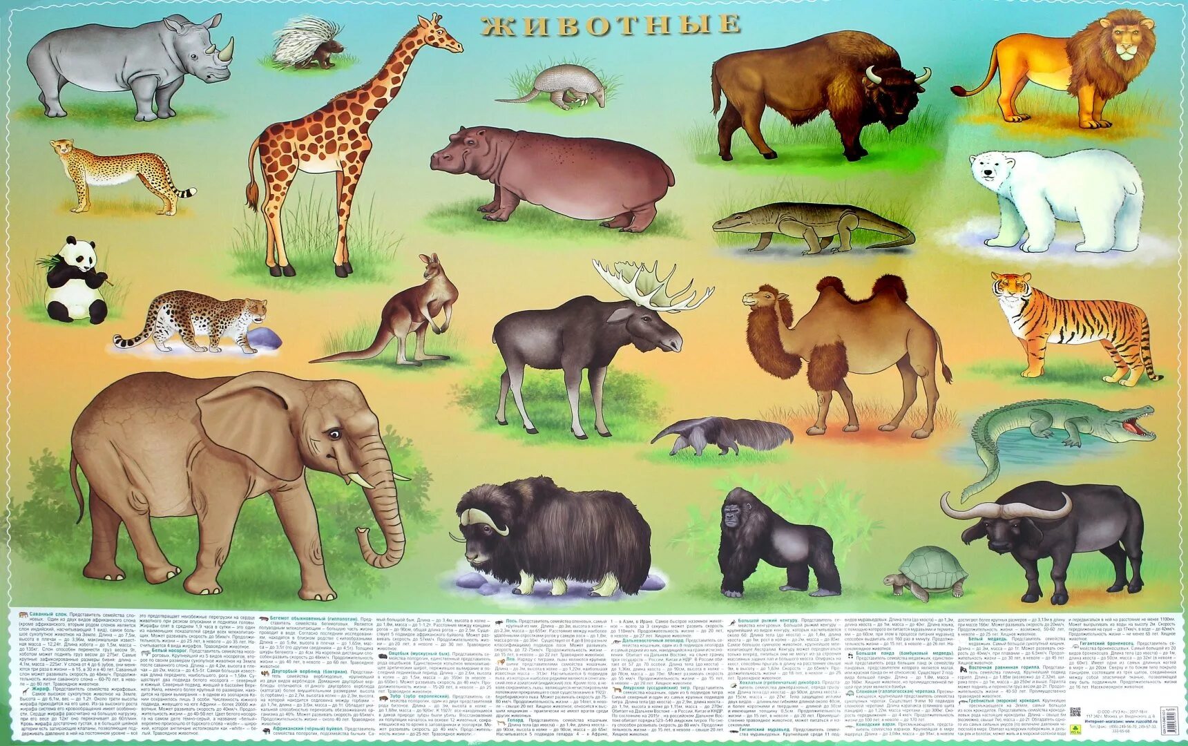 Перечисление животных