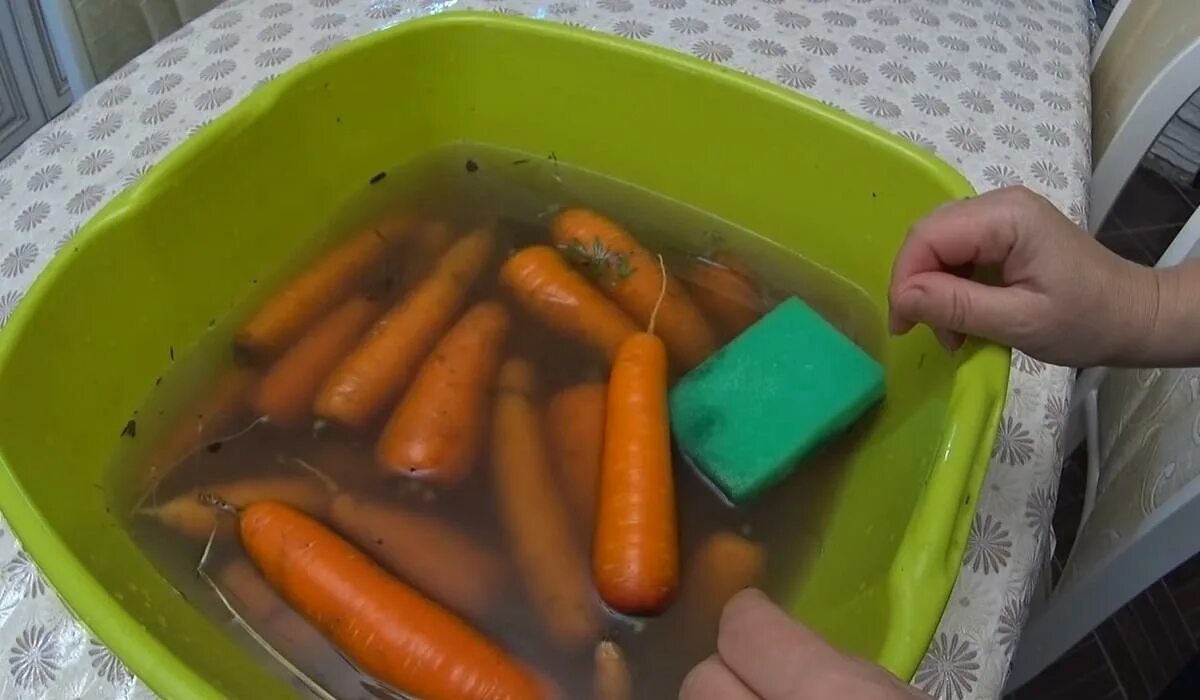 Хранение моркови. Хранение моркови в холодильнике. Морковь в контейнере. Морковь в ящике. Как лучше хранить морковь