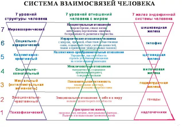 Информация на уровне энергий. Система взаимосвязей человека. Взаимосвязь подсистем личности. Уровни развития человека. Универсология 7 уровней.