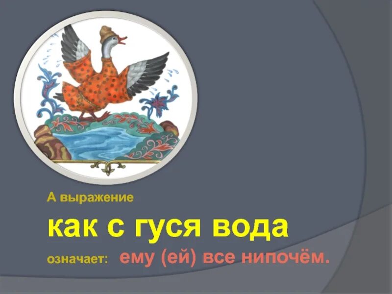 Объясните значение как с гуся вода. Как с гуся вода. С гуся вода фразеологизм. Как с гуся вода фразеологизм. Пословица с гуся вода.