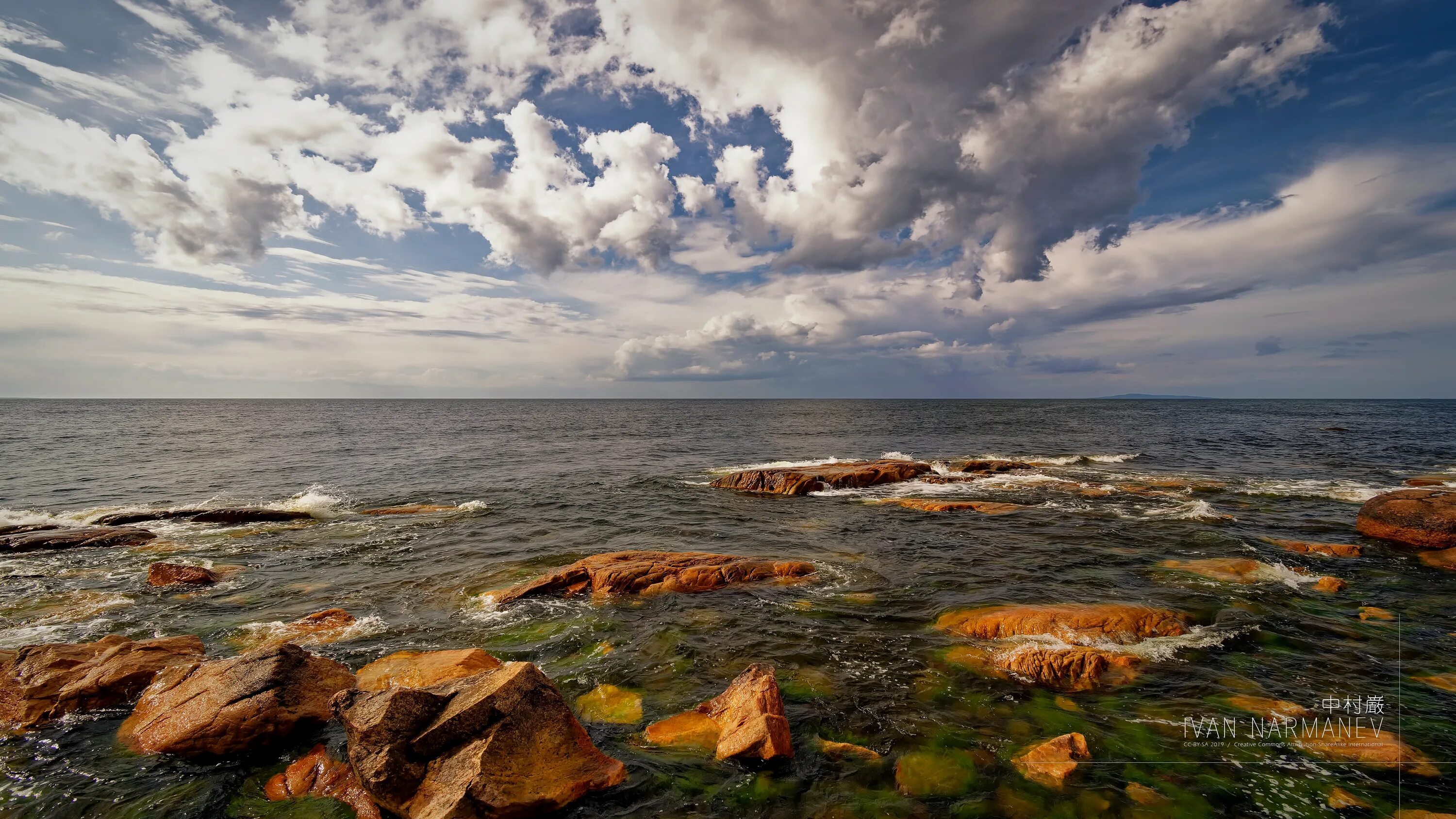 Финский залив соленая вода. Зеленоградск финский залив. Северный берег финского залива. Выбье финский залив. Финский залив Пуртсе.