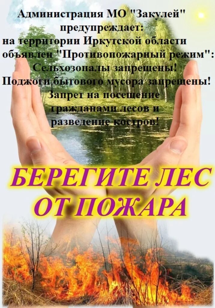 Беречь превращаться. Беречь превращаться. Классный час природа. Береги природу презентация. Стихотворение береги природу.