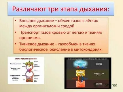 Еле переводивший дыхание
