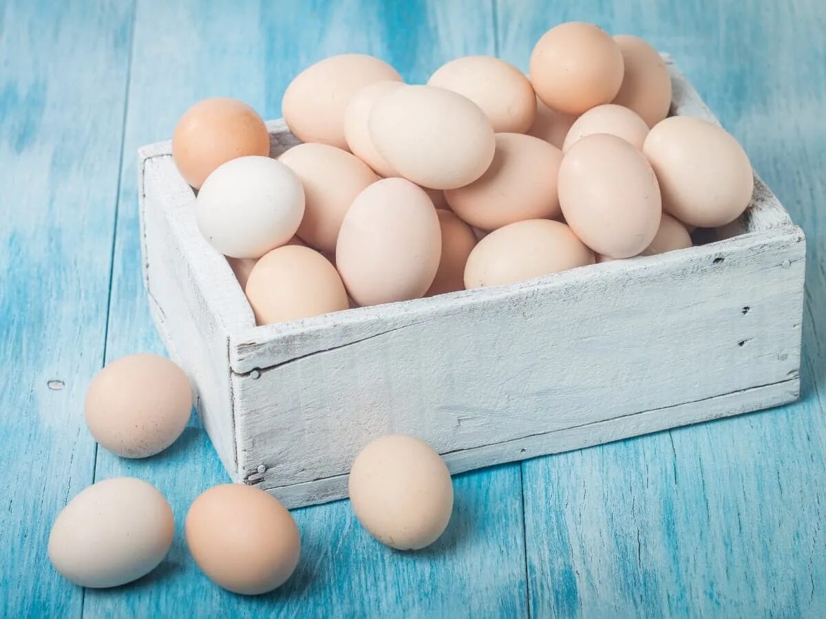 Моют ли яйца перед инкубацией. Яйцо. Яйца куриные для диабетиков. Яйцо лежит. Куриные яйца в салфетках хранение.