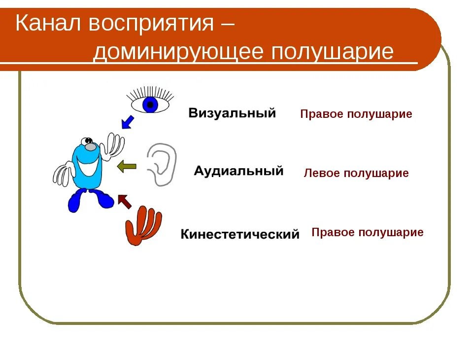 Каналы восприятия информации. Модель восприятия информации. Каналы восприятия информации человеком. Ведущий канал восприятия информации.