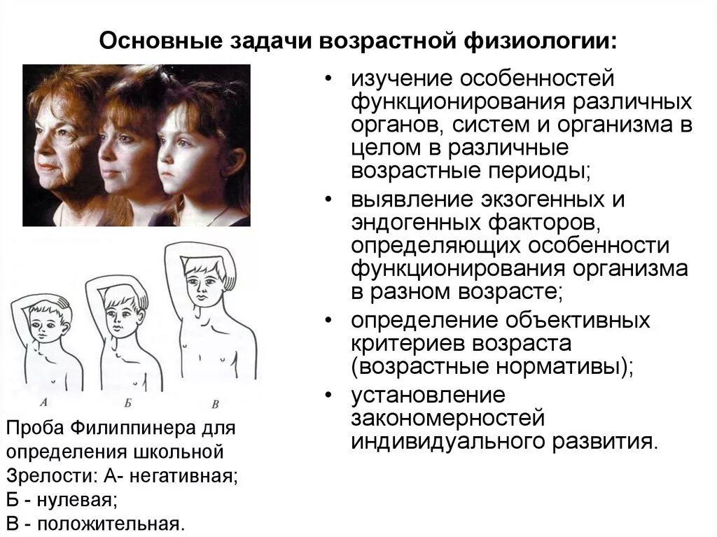 Возрастная физиология. Возрастные периоды физиология. Возрастные особенности физиология. Возрастная анатомия физиология и гигиена.