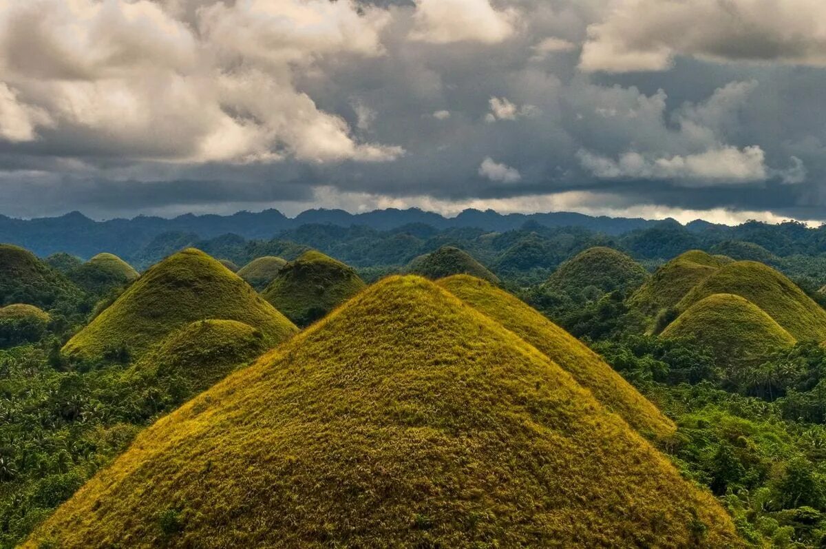 Картинка холма. Остров Бохол Филиппины. Шоколадные холмы Бохол. Бохол Филиппины шоколадные холмы. Филиппины трюфельные горы.