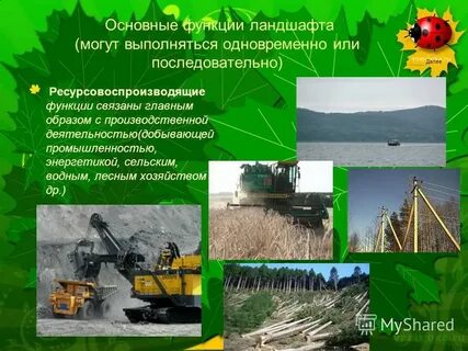 Функционирование ландшафтов