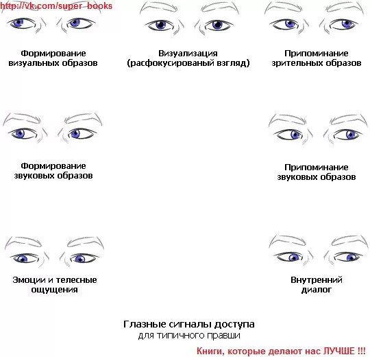 Направление взгляда человека. Схема движения глаз. Движение глаз человека. Взгляд в глаза психология.