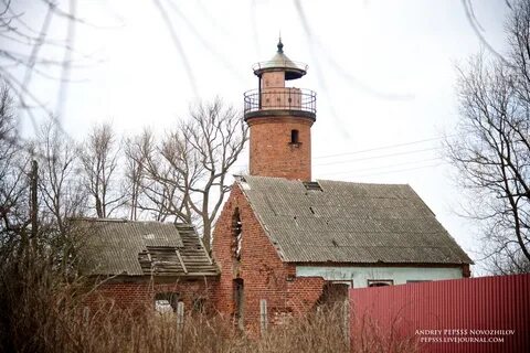 Погода полесск калининградская завтра