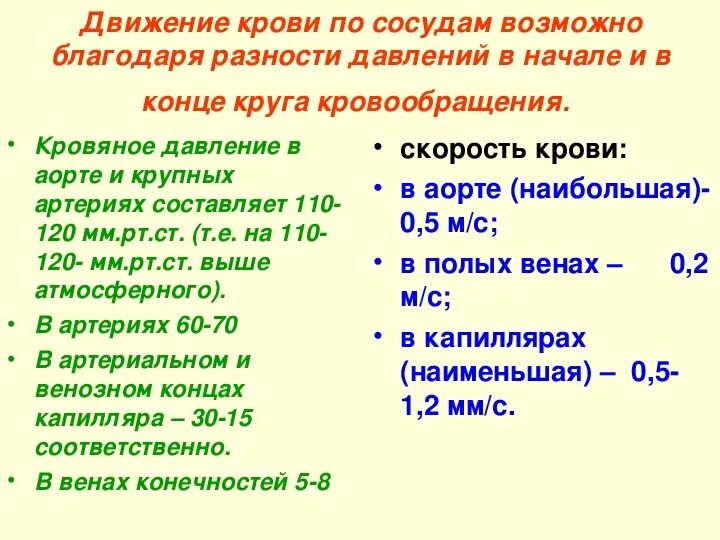 Наименьшее давление наблюдается