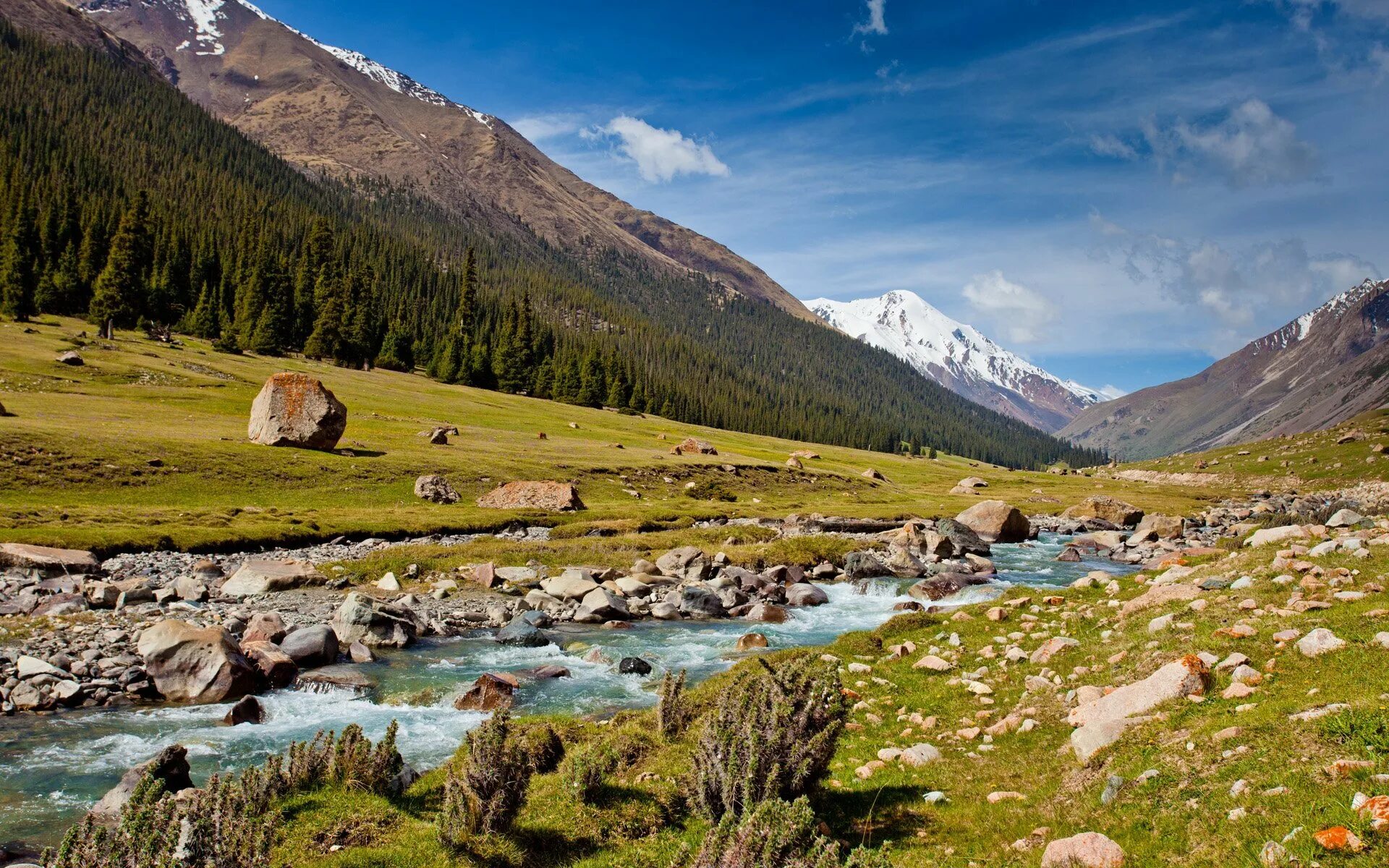 Р киргизия. Ущелье Джууку Киргизия. Долина реки Юстыд горный Алтай. Киргизия горы Долина Арашан. Альпийские Луга Киргизии.