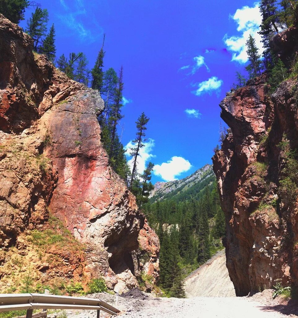 красные ворота горный алтай.