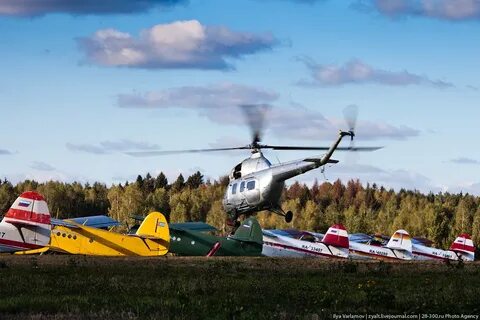Аэродром отзывы