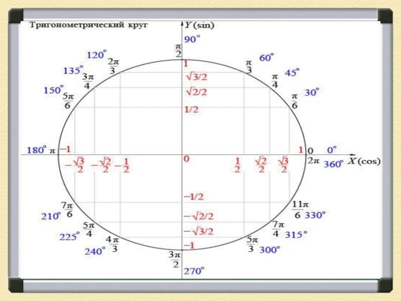 Тригонометрический круг -2п. Круг sin cos TG CTG. Sin cos TG CTG таблица окружность. Sin cos на окружности.
