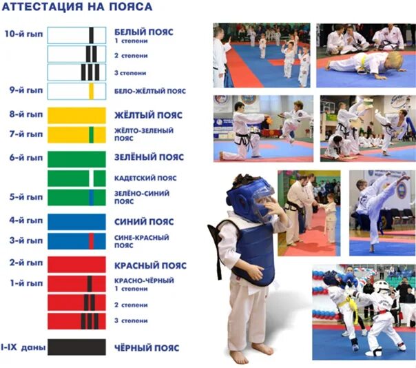 Аттестация на пояса тхэквондо. Тхэквондо ВТФ пояса по порядку. Пояса в тхэквондо ИТФ. Система поясов в тхэквондо ВТФ. Тхэквондо ВТФ пояса по порядку цвета.