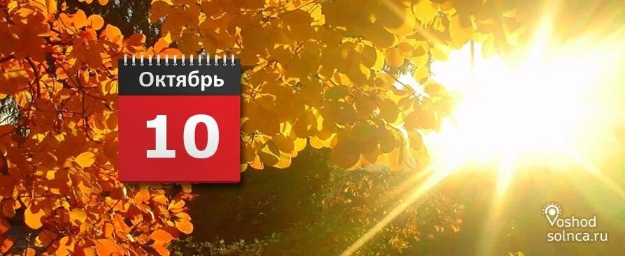 10 сентября по 10 октября